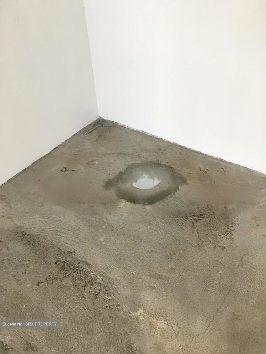 Vision Exchange (D22), Shop House #453409441